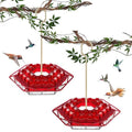 Hummingbird Feeder with Ant-Proof Moat Hummingbird Feeder, Easy to Clean and Refill Includes Hanging Hook, Features 30 Feeding Ports (Red 2PCS) - color: Red 2PCS