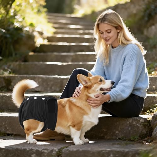 Washable Reusable Female Dog Diapers(5 Pack) Small Medium Large Doggie Puppy & Doggy Dog Diaper, Period Panties in Heat XX-Large Black - color: Black, size: XX-Large