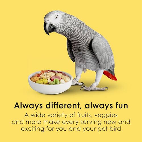Kaytee Fiesta Parrot Food for Large Birds, 4.5 Pounds | Fun feeding. Bird food with fruits, veggies, grains. Bird seeds, shapes and textures for natural foraging - size: 4.5 Pound (Pack of 1)