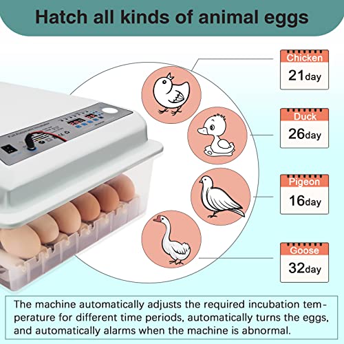 Incubators for Hatching Eggs, Egg Incubator with Automatic Egg Turning and Humidity Control, Egg Incubator for Chicken Quail Duck Pigeon Eggs(36 Eggs)