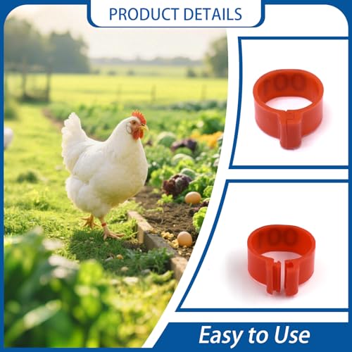 BDS-HOME 100Pcs Numbered Chicken Leg Rings, 16 mm Clip-On Poultry Foot Ring Mark Plastic Anklets Identification Leg Bands Clip Ring for Hens Duck Goose Pigeon Turkeys (5 Color)