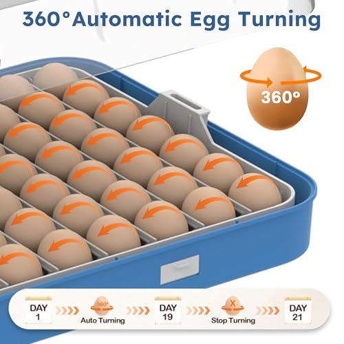 Egg Incubator for Hatching 70 Chicken, Duck, Quail & Goose Eggs – Automatic Egg Turner, Humidity & Temperature Control, Built-in LED Candler, Auto Water Refill, 360° Clear View Digital Poultry Hatcher