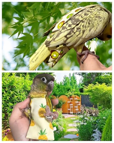 5 Pcs Bird Diapers Bird Harness Flight Suits Diapers Reusable Parrot Nappy with Waterproof Inner Layer Washable Cute Urine Wet Suit for Cockatiel Budgie Conure Macaw Parakeet Lovebird,M - size: M