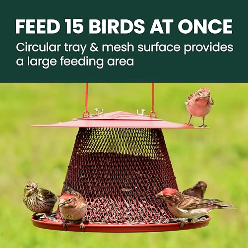 Perky-Pet Red Cardinal Wild Bird Feeder, 2.5 lb Seed Capacity | Holds Up to 15 Birds Simultaneously, Metal Hanging Feeder for Outdoors, Mesh Design, Built-In Hook & Circular Tray, C00322 - size: 1 Pack
