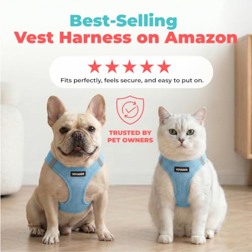 Voyager Step-in Air Dog Vest Harness - Baby Blue, X-Small | 13 - 14.5" in Chest, Reflective Bands, All Weather Breathable Air Mesh, Cats Compatible, Lightweight, Fast Drying - color: Harness (Baby Blue), size: XS (Chest: 13 - 14.5")
