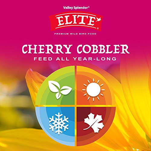 Cherry Cobbler - size: 5 Pound (Pack of 1)