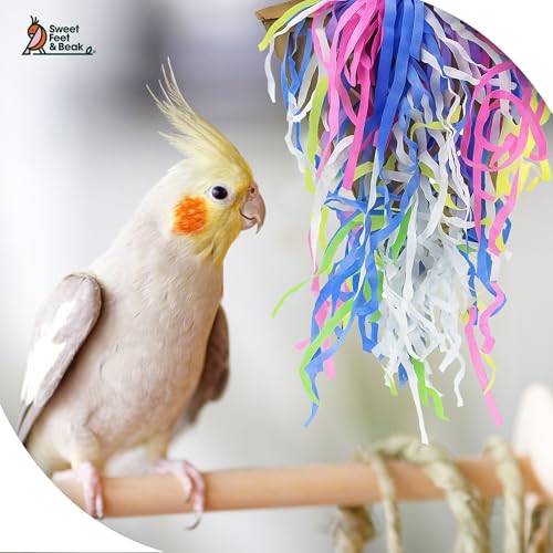 Sweet Feet and Beak Pizza Party Slice, 8" Bird Shredding and Foraging Toy | Food Grade Shred and Cardboard, Hanging Bird Toy with Nickel Chain and Quick Link. Hide Seeds, Pellets, or Treats, Bird-Safe