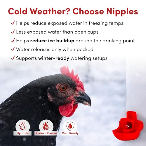 RentACoop 64oz Chicken Drinker with 2 Versatile Nipples