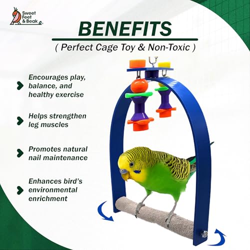 Sweet Feet and Beak Whirly Bird Swing, Large Indoor Pedicure Perch - size: Large