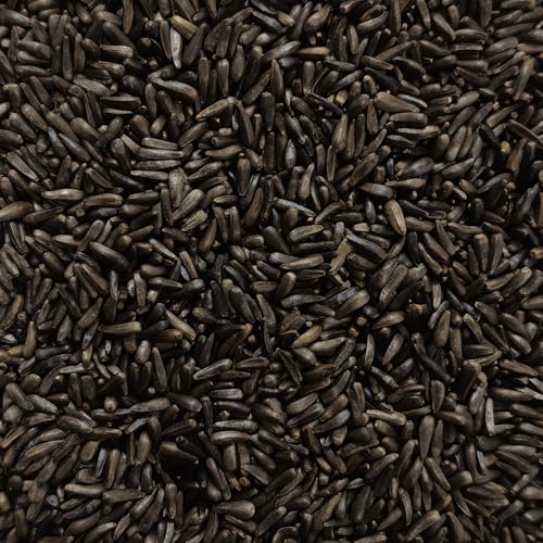 Happy Wings 13Oz Thistle Seed (Nyjer) Bird Food Prefilled Sock, No Grow | Oil Rich, High Fat & Energy Content, Single Grain, USDA & BRC-GS Approved, Finches, Sparrows, Chickadees, Cardinals, No Mess - size: 13 Ounce (Pack of 1)