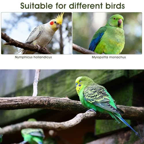 4 Pcs Bird Diaper, Cute Pet Bird Diaper Parrot Nappy | Reusable Flight Suit with Waterproof Inner Birds Diapers for Parakeet Cockatiel Mini Macaw Budgie Canary