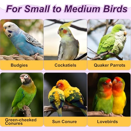 3-Ring Bird Wooden Swing with Bell Climbing Toy Chewable Cotton Rope Perch | 17 Inch for Cage Cockatiels Budgies Parakeets Lovebirds