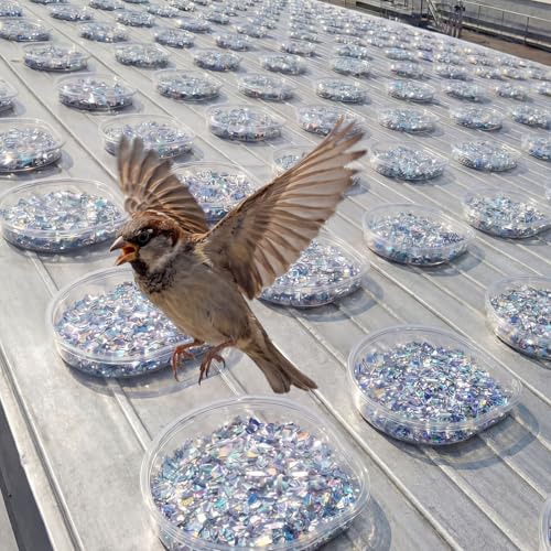 Qinyoung 100 Pack Bird Repellent Gel Trays (Gel Not Included) Clear PET Plastic Dishes with Holographic Reflectors for Outdoor Bird Deterrent, No Mess Application for Roof, Ledges, Beams, Signs