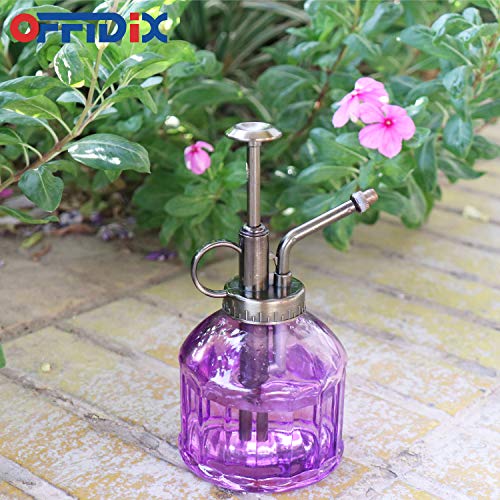 Glass Watering Spray Bottle,Plant Mister watering can indoor with Bronze Plastic Top Pump, Glass Small Watering Can for Garden, Plants, Cleaning (Purple) - color: G-Purple