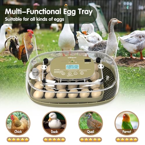 HOWOOlUA 24 Egg Incubator for Hatching Eggs with Auto Turn, Temp & Humidity Control, Built-in Candler Large Capacity Egg Incubator for Chicken Duck Goose Eggs