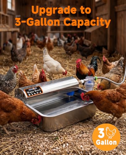 Automatic Chicken Waterer Real 304 Stainless Steel Metal | 3 Gallon Poultry Waterer with Upgraded Float Valve, Extra Filter, 1.5M Hose
