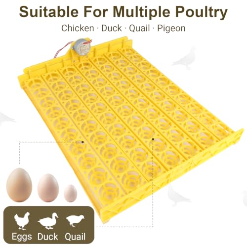 Automatic Egg Turner Tray, 70 Eggs Fully Automatic Incubator Tray with Motor, 110V Plastic Egg Turning Device Universal for Hatching Chickens, Ducks, Geese, Pigeons, Birds, Quail
