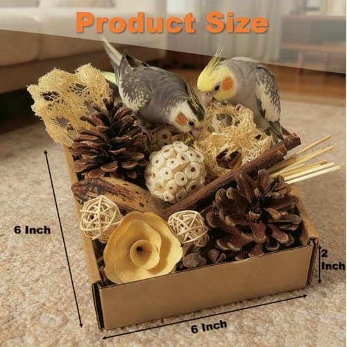 Bird Toys - Sola Ball Foraging Box, 10 Natural Ingredients | Chewing and Shredding Parrot Toys | Ideal for Parakeets/Cockatiels/Conures/Lovebirds and Small to Medium Birds - size: Sola Ball Foraging Box
