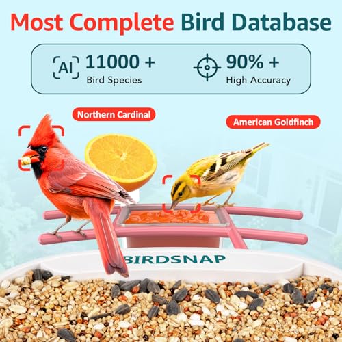 birdsnap® TUC Bird Feeder with Camera Solar Powered 2K Video with 32GB Card | AI Bird Species Identification, Squirrel-Proof, IP65 Waterproof, Outdoor Wireless, 2.4G WiFi, Gift for Mom Dad Bird Lovers - color: Pink