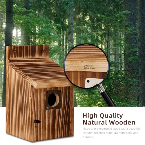 2 Pack Bird Houses for Outside, Outdoors Birdhouse Feeder for Bluebird,Cardinal,Purple Martin and Sparrow,Wooden Cedar Hanging Birds Nest,Easy to Clean,No Assembly Needed - style: Box