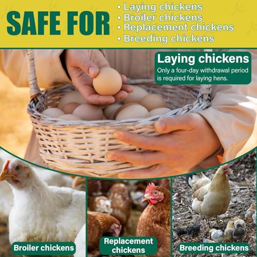 Dewormer for Chickens, Poultry, Fenbendazole for Chicken Dewormers, Tapeworms, Roundworms & Hookworms, with Measuring Syringe, 100ml