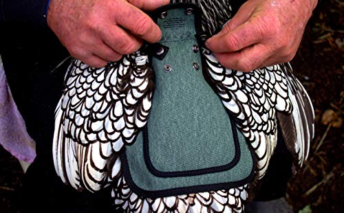 DOWN UNDER OUTDOORS Medium-Large Chicken Saddle Hen Apron Saver (Green) | Adjustable Straps, Chicken Apron, Poultry Saver, Pet Supplies, Including Shoulder Cover, 14 oz Breathable Cotton Canvas - color: Green