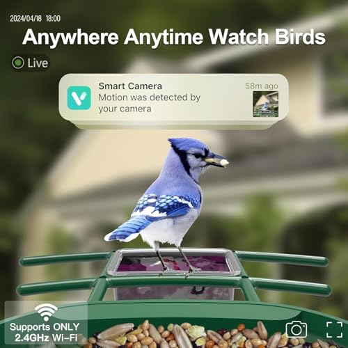 Bird Feeder with Camera Solar Powered : Smart Camera Bird Feeder 2K Live Feed Cam for Backyard - AI Identify Auto Capture Videos Pictures, Gifts for Birdlover Mom Dad, 2.4GHz WiFi - color: Green