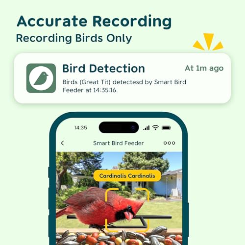 Bird Feeder with Camera Solar Powered, Upgraded 1.5L Smart Bird Feeder Camera for Bird Watching, Auto Capture & Instant Real-time Notifications, Ideal Gift for Bird Lovers
