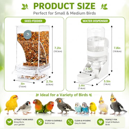 Rypet No-Mess Bird Feeder and Water Dispenser Set for Small Birds | Automatic Bird Feeder, Transparent Acrylic Food Container, Helps Reduce Seed Scatter, for Parakeet Cockatiel Parrot Canary - color: White Feeder + Drinking Bottle