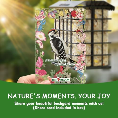 Birdream Double Suet Bird Feeders for Outdoors, All Metal Bird Suet Cakes Cage Holder with Weatherproof Roof, Easy to Refill & Clean, Attract Woodpeckers, Chickadees, Nuthatches, Black