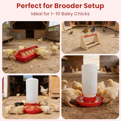Chick Feeder & Waterer Starter Kit with 2 Trough Feeders and Roost Bar – No-Leak Baby Chick Waterer and Feeders Set for Chicks, Ducklings, Quail & Small Poultry – Essential Brooder Supplies