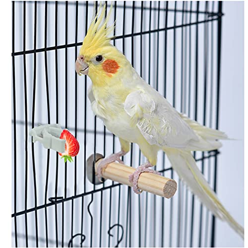 WishLotus Bird Cage Feeding Clips, 4 PCS Plastic Durable Parrot Fruit Vegetable Clips Bird Cage Food Holder Mini Birdcage Feeder for Pet Birds and Parrot Feeding Birdcage Accessories (A)