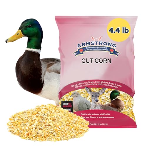 Armstrong Wild Bird Food Cut Corn, 4.4 Pounds - Premium High-Energy Feed for Mourning Doves, Blue Jays, Ducks & Deer - Ideal for Backyard Feeders, Ground Feeding & Outdoor Wildlife - size: 4.4lbs