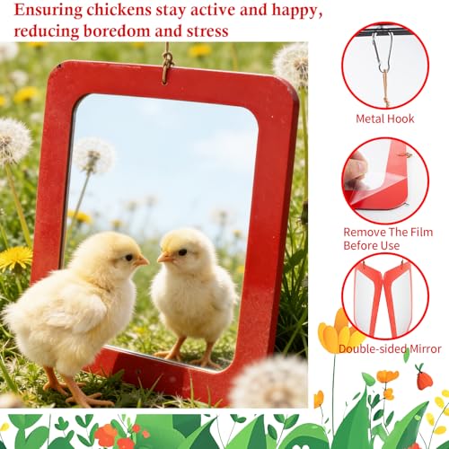 FlidRunest Extra-Large Size Chicken Mirror Toys for Coop, 11.8'' x 9.8'' Hanging Chicken Enrichment Swing Mirror Acrylic, Double-Sided Coop Accessories for Hens Birds Parrots Roosters Red