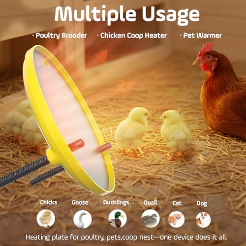 Heat Plate for Chicks, 35W Brooder Plate for Chicks, 12''x12'' Adjustable 3 Levels Temperature Supports a Timer Function - color: Yellow