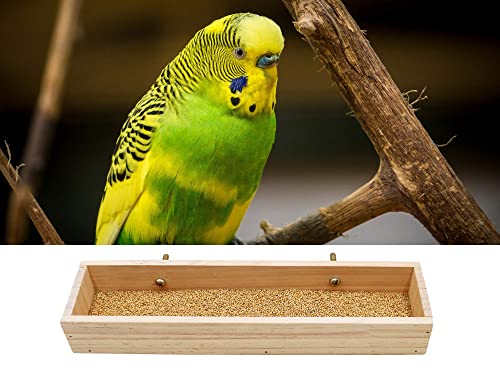 Bird Feeding Cups, Natural Wooden Parrot Perch Stand, Birds Food Dish, Parakeets Feeder Bowl, Cage Accessories for Small Animals Rat Hamster Guinea Pig Chinchillas Budgies Cockatiels Love Birds - size: 11.8 × 3.1 Inch