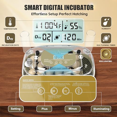 Syluris Incubators for Hatching Eggs, 24 Egg Incubator with Automatic Egg Turning and Humidity Control, Egg Candler, 360° Viewing, Chicken Incubators for Hatching Eggs, Quail Eggs, Duck Eggs Poultry
