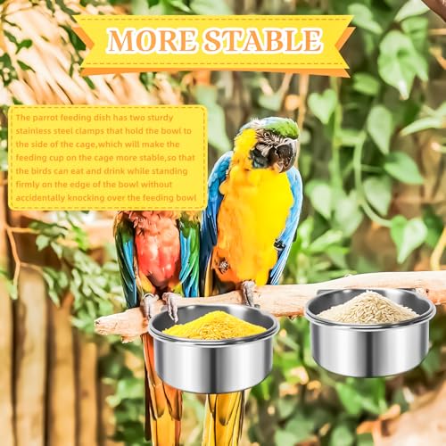 3 Pack Bird Feeding Bowls Cups Parrot Food Water Dishes, Stainless Steel Bird Bowl Cup Dish with Clamp, Birdcage Feeder Pet Cage Bowls for Parrot Cockatiel Budgie Conure Parakeet Small Animal - size: 3 Pack