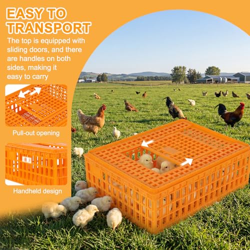 6pcs Chicken Carrier Chicken Transport Cage Crate with Sliding Door 29.5x21.6x10.6inch Chick Boxes for Transport Bird Travel Carrier for Poultry Bird Duck Goose (Carton Delivery)