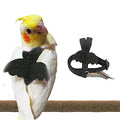 Parrot Harness Adjustable Bird Harness Flying Rope Strap Outdoor Training Traction Rope for Small Parrots Anti-Bite,Bird Nylon Rope with Cute Wing (Black) - color: black