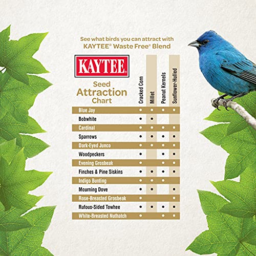 Kaytee Wild Bird (No Mess or Waste Free) Food Seed Blend for Blue Jays, Woodpeckers, Juncos, Cardinals, Grosbeaks, Sparrows, and Finches, 10 Pound, (Packaging May Vary) (Pack of 2) - size: 10 Pound (Pack of 2)