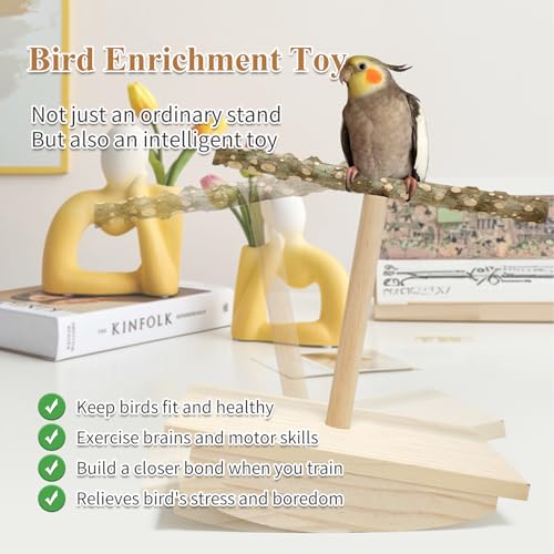 Natural Wood Bird Perch Stand, Rocking Perch for Bird Stand Swing(Large) | Intelligence Puzzle Training Wood Parrot Tumbler Toy,Playstand Birds Accessories for Parakeets,Cockatiels,Budgies,Conures - size: Large