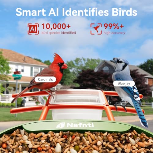 Bird Feeder with Camera Solar Powered, 5GHz, 2K HD Live 1.8L AI Bird | 2.4g WIFI,Bird Instant Alerts, 1.8L Large-Capacity Hopper, Weatherproof Design, Easy Refill, Gift for Bird Lovers (Green) - color: Green