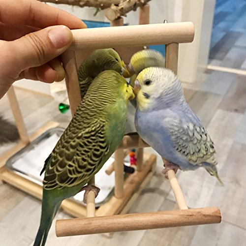 HANZE Bird Mirror Swing with Rattan Ball | Natural Wood Parrot Toy with Metal Hooks for Macaws, Cockatiels, Parakeets, Lovebirds | Safe Chewing & Mental Stimulation - color: 1 Pack