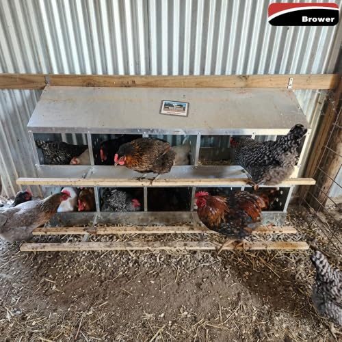 Brower 2-Tier 10-Hole Galvanized Steel Chicken Nesting Box, 50 to 60 Hen Capacity – Outdoor Poultry Laying Station with Hinged Folding Perches, Ventilated Design & Slanted Roof – Made in the USA | Outdoor Poultry Laying Station with Hinged Folding Perches