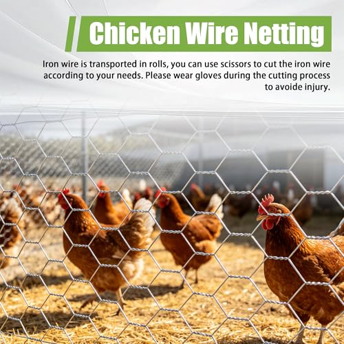 4FTx150FT Chicken Wire Netting, Galvanized Wire, Hexagonal Fencing | 2inch Mesh 20Gague 0.9mm Diameter for Poultry Garden Fence Barrier, Chicken Wire Fencing - size: 4FTx150FT