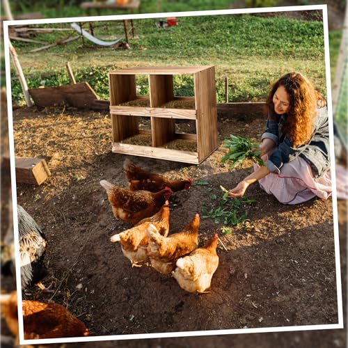 Cinnvoice Chicken Nesting Boxes 4 Compartment Wooden Chicken Laying Boxes for Hens Ducks Poultry Easy Egg Collection