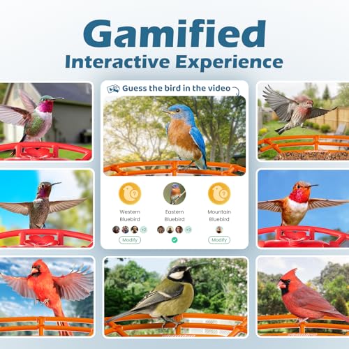 Smart Bird Feeder with Camera & Solar Panel, 2K HD Birdwatching Live | with AI Identify Bird Species, Auto Video Capture & Instant Notifications, for Mom/Dad/Bird Lovers - color: Deep Blue