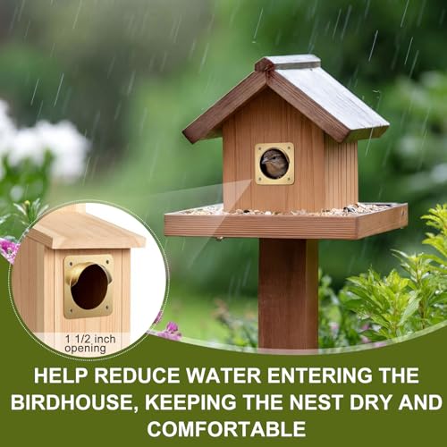 Hotop 12 Pcs 1 1/2 Inch Opening Bluebird Metal House Hole Guard with Rain Baffle Portal Bird House Protect Bird Room Guard Copper Portal with Opening for Eastern Bluebird Rooms Sparrow Houses(Gold) - color: Gold, size: 1 1/2 Inch, style: Opening with Rain