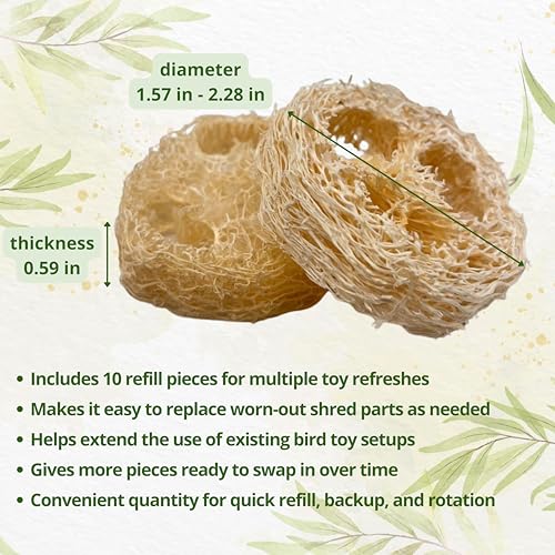 Parrot Shredding Chew Foraging Toys, 10pcs Loofah Chewing Parrot Toys, Bird Cage Shredder Toy, Bird Toy for African Grey Macaws Cockatoos Cockatiel Conure (10 Loofah Slices)